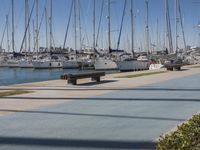 Valencia Marina: A Day by the Waterfront