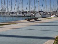 Valencia Marina: A Day by the Waterfront