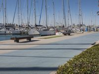 Valencia Marina: A Day by the Waterfront