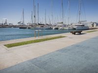 Valencia Marina: A Day by the Waterfront