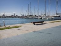 Valencia Marina: A Day by the Waterfront