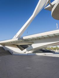 an image of the underside of the building of a building in barcelona, spain with concrete floors and arches