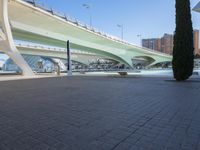 a man is skateboarding in the park next to the water under the bridge crossing