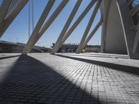 Valencia Skyway Bridge | Modern Architecture in Spain
