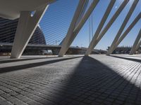 Valencia Skyway Bridge | Modern Architecture in Spain