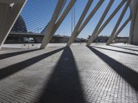 Valencia Skyway Bridge | Modern Architecture in Spain