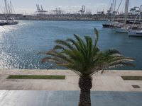 Modern Architecture in Valencia, Spain: Road Along the Coastal