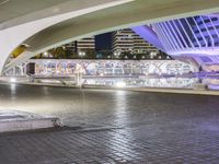 a walkway in a city at night that features many light up displays on the wall