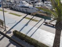 an apartment on a waterfront with a palm tree in front of a boat dock filled with boats