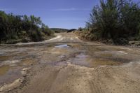 a dirty dirt road is shown with trees and a bridge on one side, and the other