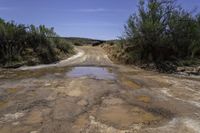 a dirty dirt road is shown with trees and a bridge on one side, and the other