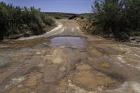 a dirty dirt road is shown with trees and a bridge on one side, and the other