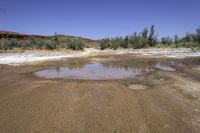 the water is muddy and dirty but it looks like mud from the ground down in