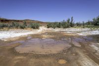 the water is muddy and dirty but it looks like mud from the ground down in