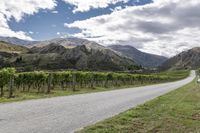 a van driving through the countryside by a vineyard, near mountains and trees that look out across the land