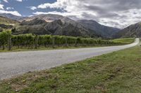 a van driving through the countryside by a vineyard, near mountains and trees that look out across the land