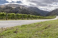 a van driving through the countryside by a vineyard, near mountains and trees that look out across the land