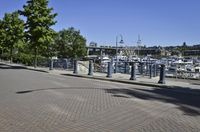 the street has several poles with many boats in it next to a marina, trees and bushes