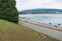 a man is standing on a path by the water on the shore, with a skateboard in hand and trees to the side