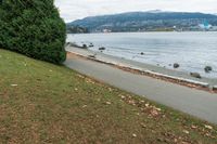 a man is standing on a path by the water on the shore, with a skateboard in hand and trees to the side