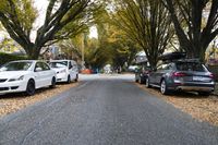 a street with several parked cars in it, surrounded by trees and leaves on the curb