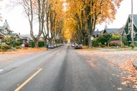 Residential Road in Vancouver During Autumn