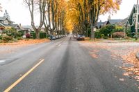 Residential Road in Vancouver During Autumn