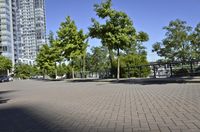 a man standing on a skateboard near some trees and buildings in a park area