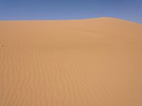 A Vast Erg in Marocco: Sand Dunes Shaped by the Wind