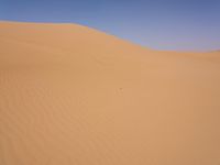 A Vast Erg in Marocco: Sand Dunes Shaped by the Wind