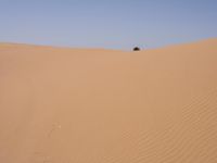A Vast Erg in Marocco: Sand Dunes Shaped by the Wind