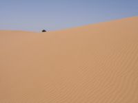 A Vast Erg in Marocco: Sand Dunes Shaped by the Wind