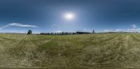 a 360 - lens panorama image of a large grassy field, a windmill pole and many trees in the back ground