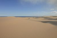 Vast Landscape: Sand Dunes Stretch to the Horizon