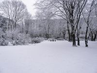 Vegetation Landscape with Branch, Twig, and Tree