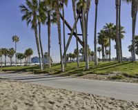 a man riding a bike down a sandy beach road lined with palm trees and a lifeguard tower