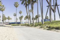 Venice Beach, California: Sand Wall with Graffiti