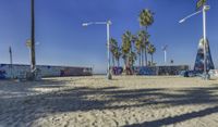 Venice Beach, California: Sunset Among the Palm Trees