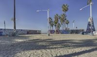 Venice Beach, California: Sunset Among the Palm Trees