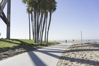 a path between two palm trees near the beach and ocean shore line with people walking down the pathway to the beach