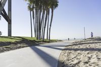 a path between two palm trees near the beach and ocean shore line with people walking down the pathway to the beach