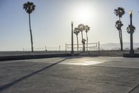 Venice Beach, Los Angeles: A Coastal Paradise