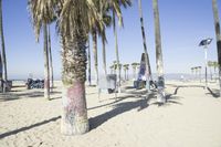 people sitting under palm trees at the beach on the sand with chairs in the background