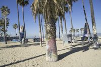 people sitting under palm trees at the beach on the sand with chairs in the background