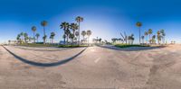 a view of the view of palm trees from the corner of a street in front of the ocean