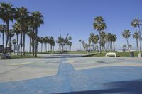 a photo of the view of a skate park and palm trees in the background,