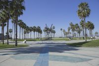 a photo of the view of a skate park and palm trees in the background,