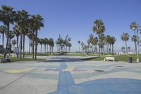 a photo of the view of a skate park and palm trees in the background,