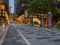 Vibrant Night Scene in Tokyo, Japan