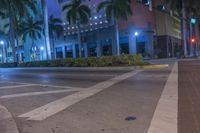 Vibrant Urban Landscape - Miami, Florida 002